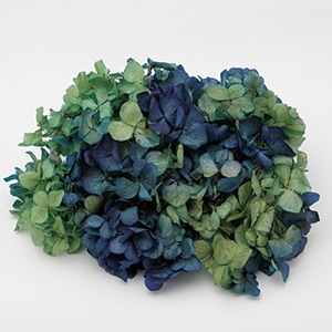 TK-64142/ソフトあじさい彩/ラベンダー×グリーン | ドライフラワー