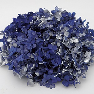 アナベル　あじさい花びら TK-64225/ソフトあじさいアナベル/スプラッシュ エジプシアン | ドライ