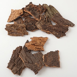 自然木　置物 TK-73106/木の皮 小/ナチュラル | すべての商品 | プロフローラ