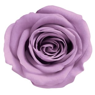 ML-PR630-64�������ͥ�8���饤��å�