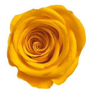 ML-PR641-73�������ͥ��������������ե�󥤥�����