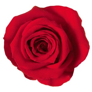 ML-PR641-20�������ͥ�������������å�