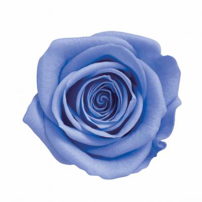 ML-PR641-74�������ͥ������������ޥ��֥롼