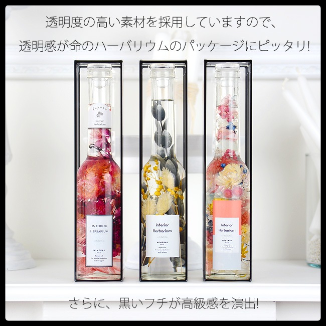 ڴB-29466ƩѥåΥå250ѡ5祻åȡ