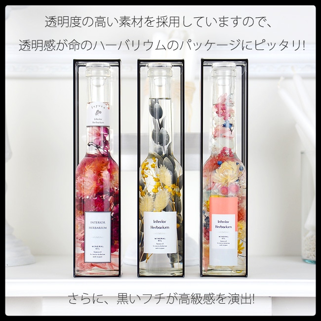 完売】B-29466／透明パッケージ：ヴィノロック・ジラフ250用（5