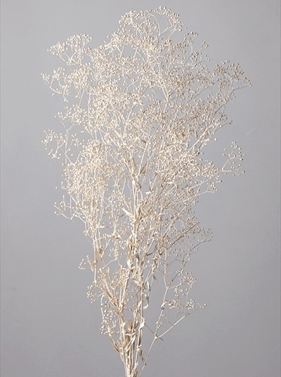 00020-932�������ѡ����եȥߥ˥������𡿥ץ����