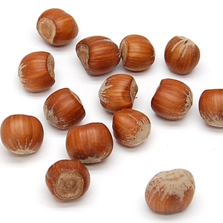 CR-30337���ء�����ʥåġ�N