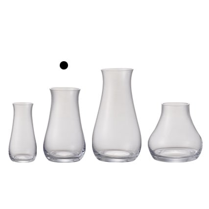 Cl 777 731 000 Mazzo マッツォ クリア すべての商品 プロフローラ