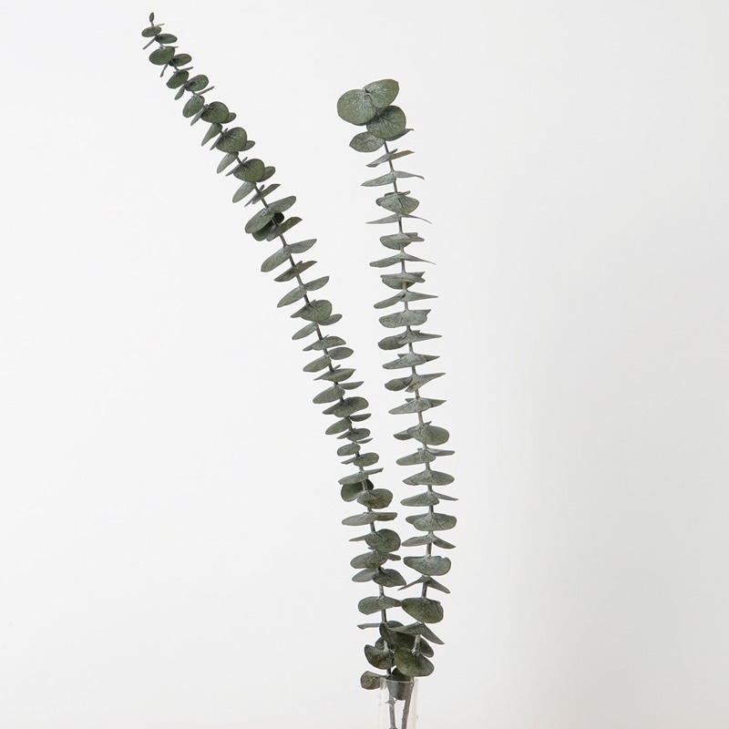 ruka様専用＊ユーカリと針葉樹 黒い森のリース＊№670 他2