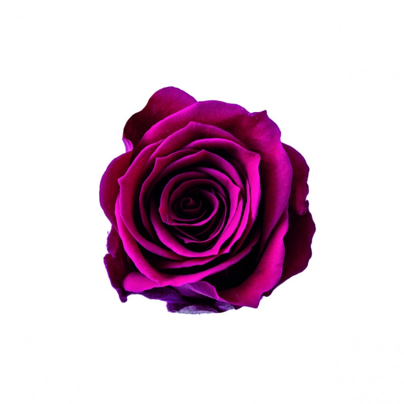 ���ڤꎾ���٢�03840-251�����������ߥߡ��ǥ����ץ�ӡ��ڎҎ����������ʡ�