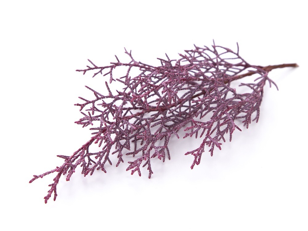 ﾌﾟﾁｾｰﾙ】01260-140／ブルーアイス／ピンクパープル | ドライフラワー 