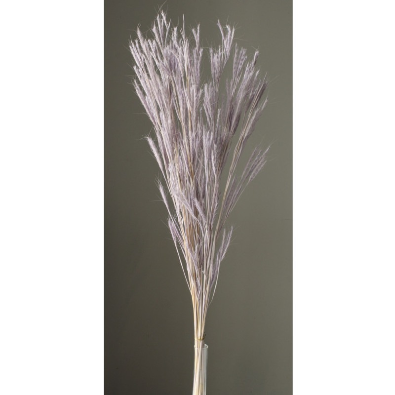 ���ڤꎾ���٢�50180-451���������饹�����󥸥���ѡ��ץ������ͽ���ʡ�