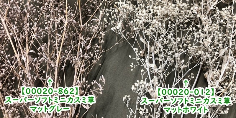 00020-012／スーパーソフトミニカスミ草／マットホワイト | ドライ