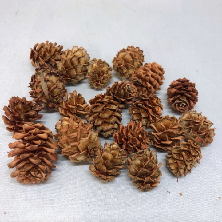 ���䢨TH-480.00�����ꥰ�ʥ�إåɡ��ʥ�����