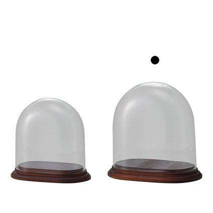 CL-777-173-202／Oval Glass Dome with Wood (オーバル ガラス ドーム