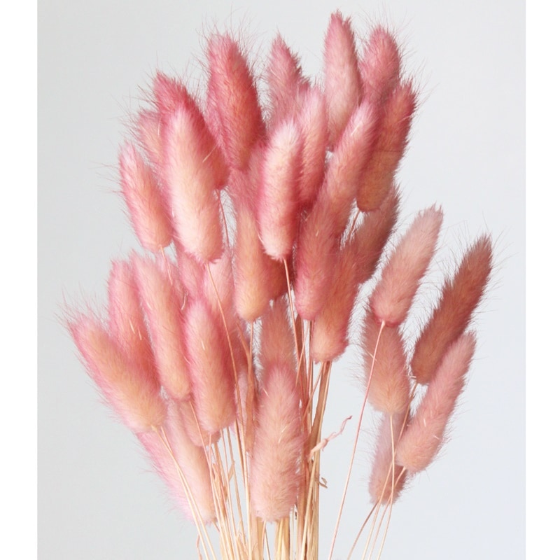 42055-122／ラグラス・ツートン／カシスピンク | すべての商品 | プロ