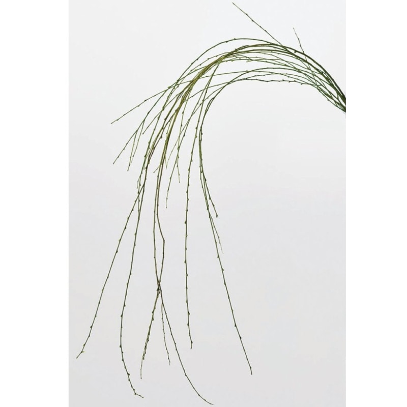 ���ڤꎾ���٢�03280-701�������������ץꥶ���֥ɡ����꡼��