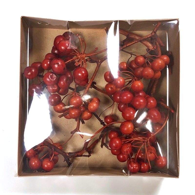 廃番※22210-300／サンキライの実・チップ／レッド | ドライフラワー