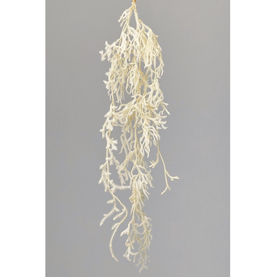 ヒカゲノカズラ　ご予約ページ 直前】ヒカゲカズラ ロング(80cm〜)静岡、和歌山など ※木金届け少 - 花