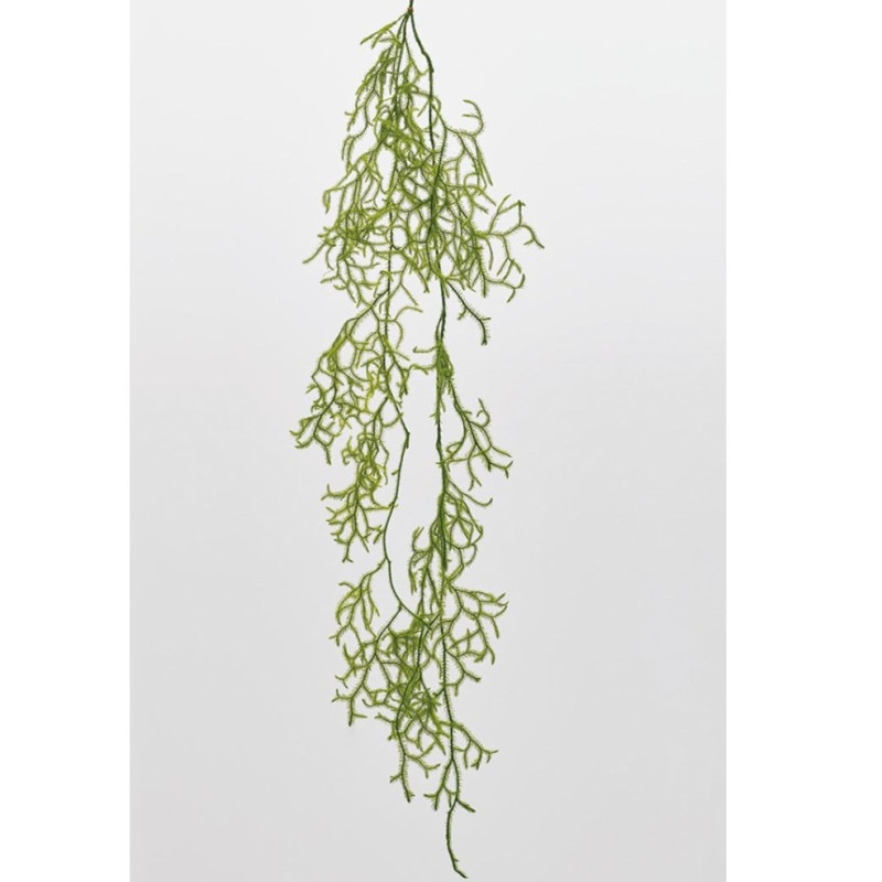 03810-700／ヒカゲノカズラ／グリーン | ドライフラワー／プリザーブド