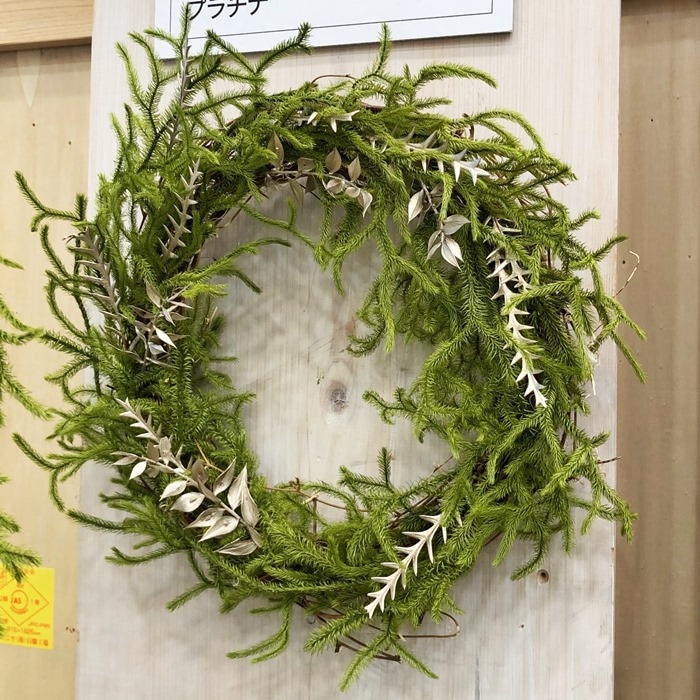 03810-700／ヒカゲノカズラ／グリーン | ドライフラワー／プリザーブド