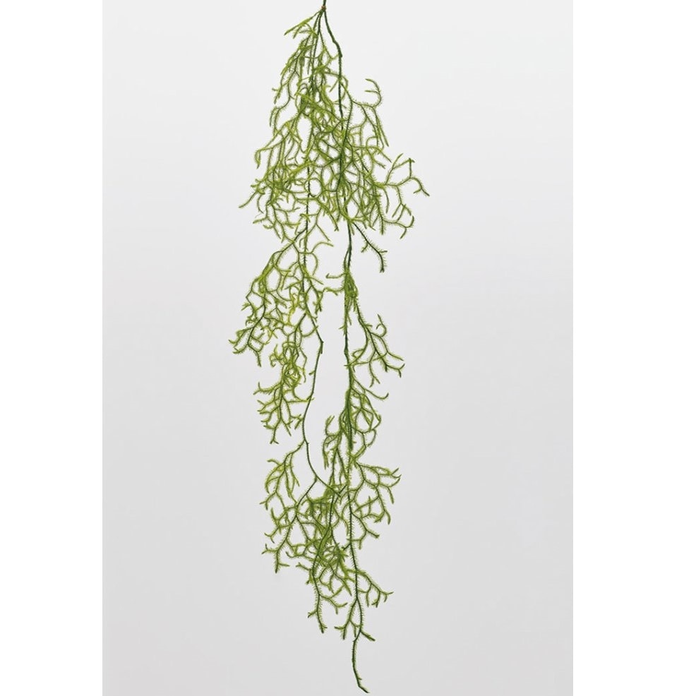 03810-700／ヒカゲノカズラ／グリーン | ドライフラワー／プリザーブド