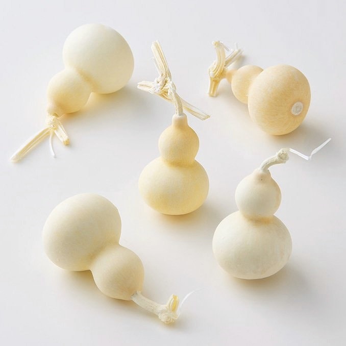 22330-011／豆ひょうたん／オフホワイト | すべての商品 | プロフローラ