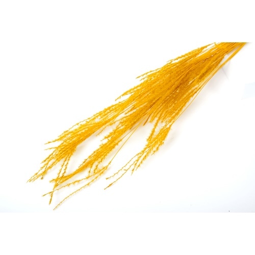 FLDR0030-750���ե����󥰥饹���ɥ饤���ޥ������ɥ�������