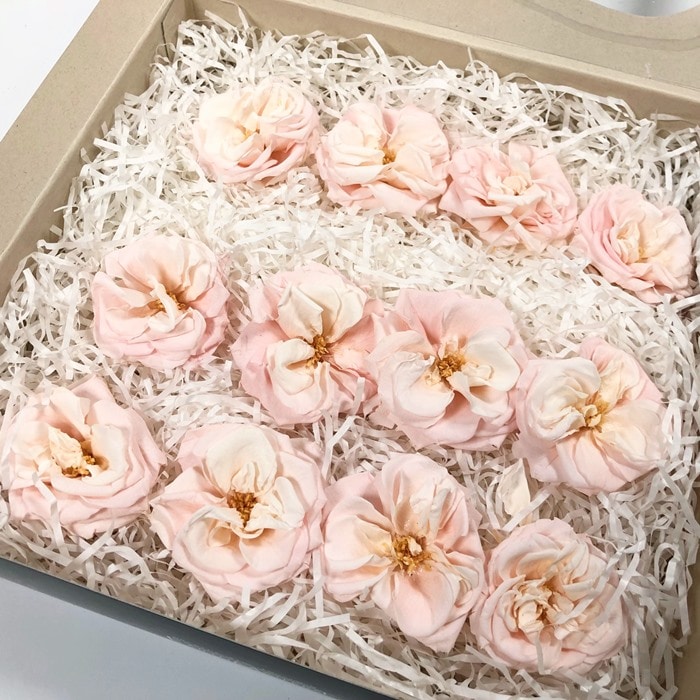 ��B���ʡ�02414-100���ե����ޥꥢ��̡�����ǡ�����󡿥ۥ磻�ȥԥ�