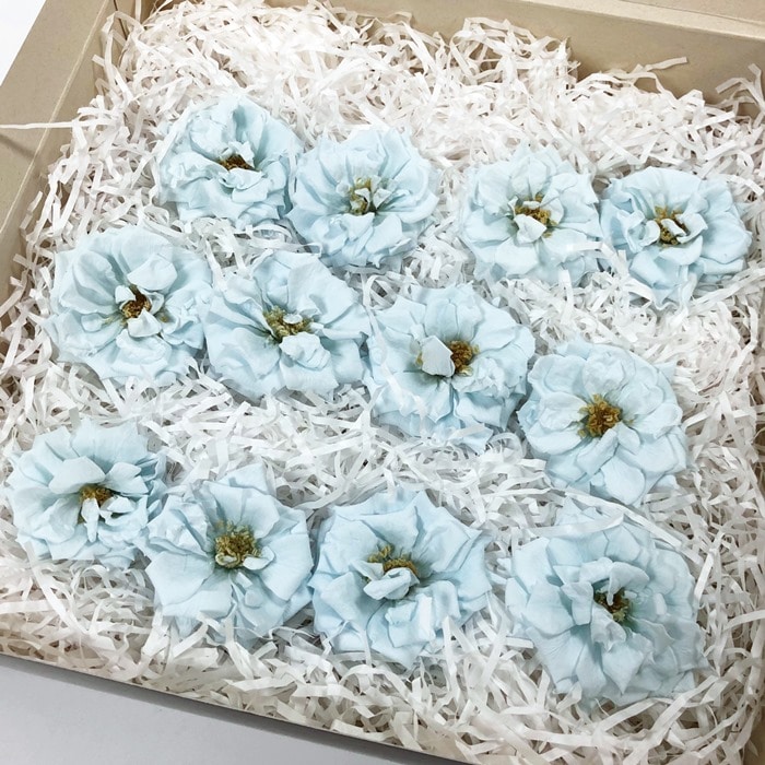 Bʡ02412-621եޥꥢ̡٥ӡ֥롼