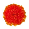 03680-350�����ơ������