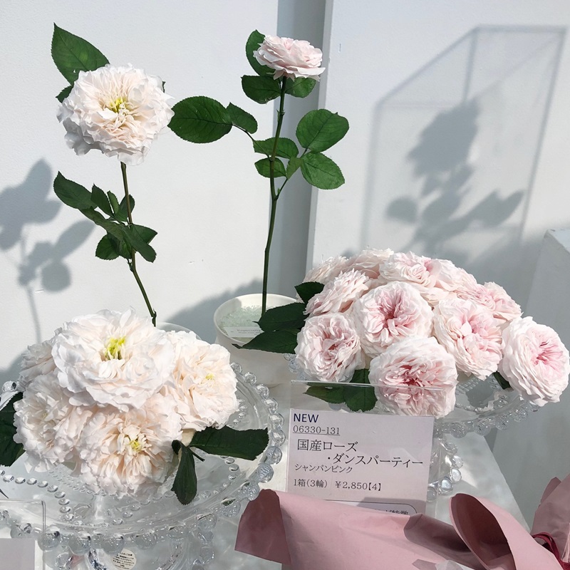 【Pinder Brothers】 ローズのティーセット 3点 薔薇のレリーフ 06330-131／国産ローズ・ダンスパーティー／シャンパンピンク | ドライ