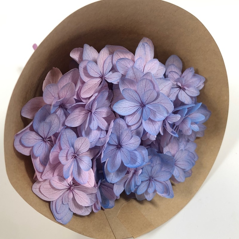【処分特価】プリザーブドフラワー　セット　大地農園　パープル　ピンク系　あじさい 大地農園・ピラミッドアジサイ・すみれパープル | プリザーブド