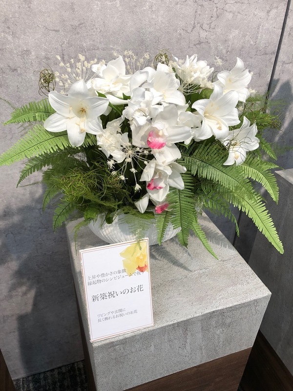 05540-010／シンビジューム／白 | ドライフラワー／プリザーブド