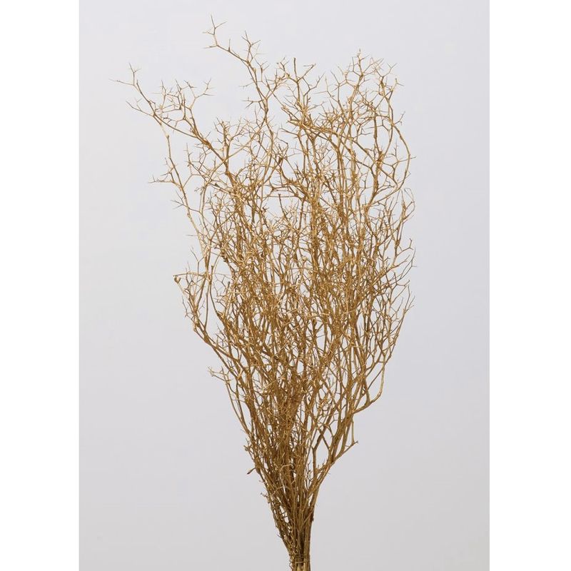 ヴェスペネストゴールド プリザーブド(5束) 0000000164662_UMNDvVg.jpg