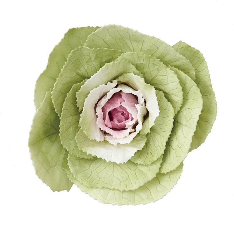 �����2025ǯʬ�ˢ�05580-170���ղ�ð���ԥ󥯥��꡼��