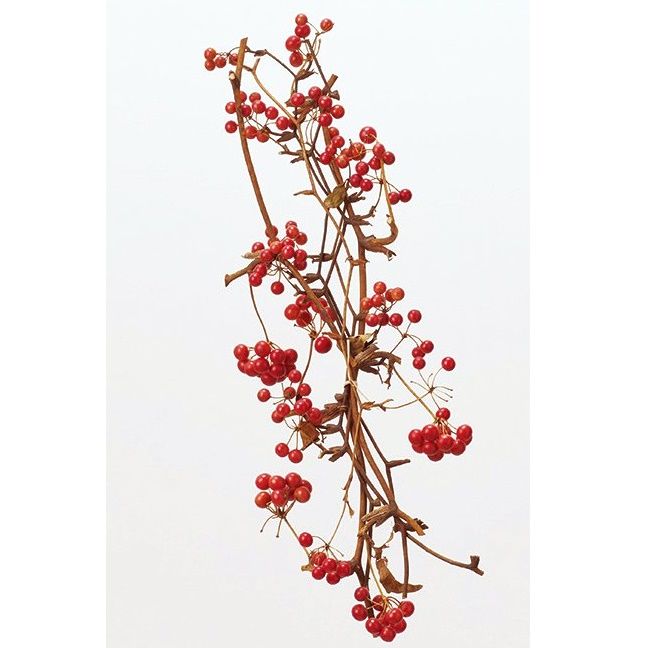 �����2025ǯʬ�ˢ�22214-300�����󥭥饤�Υĥ�ʼ��դ��ˡ���å�