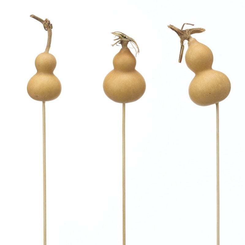 ���ڤꎾ���٢�22350-000��Ʀ�Ҥ礦����ԥå���N�����ָ�Ƥ�ʡ�