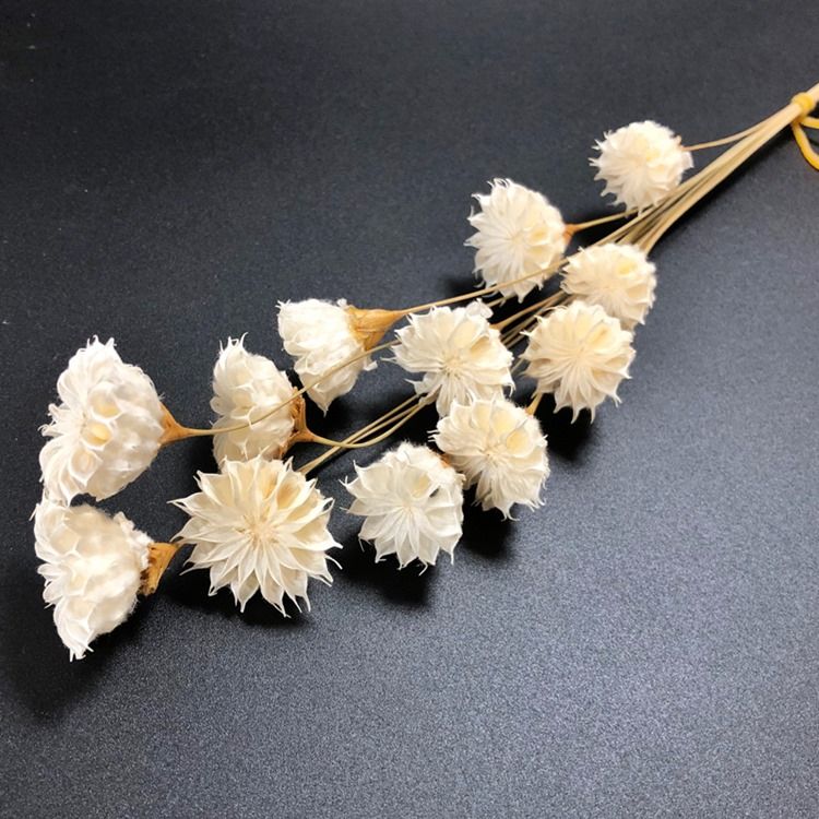 32320-010�����åץե�����