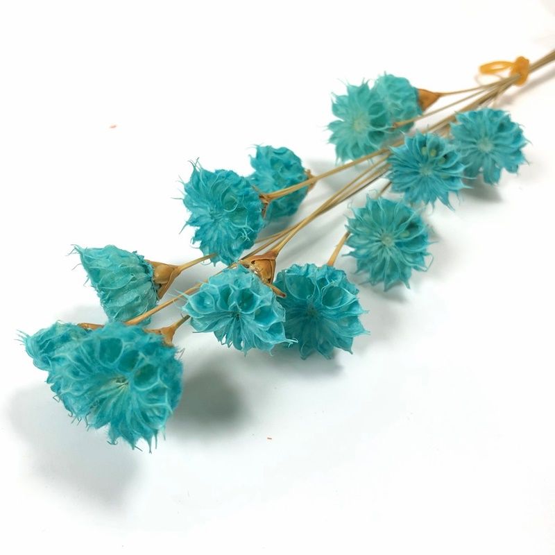 32320-600�����åץե����֥롼