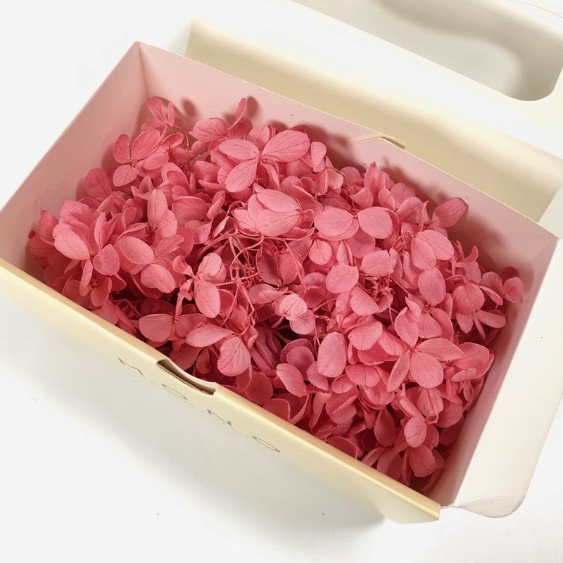 ���ڤꎾ���٢�GPP-19���ԥ�ߥåɥ������������ȥ��٥꡼