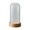 CL-670-702-312��Acrylic Stand Lighting Dome (������륹����ɡ��饤�ƥ��󥰥ɡ���)���ʥ�����