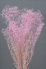 00010-400���ߥ˥������𡿥ѡ��ץ�