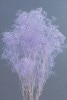 00010-441���ߥ˥������𡿥��󥸥���ѡ��ץ�