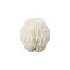 CL-966-002-100��Plisse (�ץ�å�)���ۥ磻��