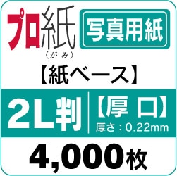 �̿��ѻ� �ץ��� ���̸��� ���󥯥����å��ѡ�2LȽ��������4,000��