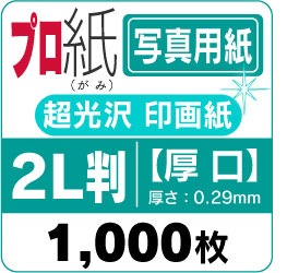 �ץ��� �ڼ̿��ѻ桡Ķ�����۰����١��������̸�����2LȽ��������1,000��