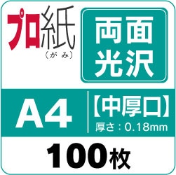 󥯥åѻ ץ ξ̸ۡA4100