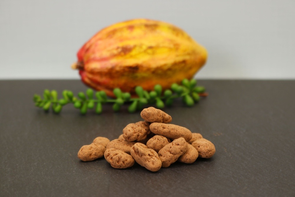 ＜順次発送：2026商品＞イル・プーロ