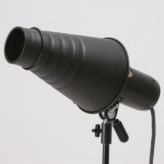 コニカルスヌート